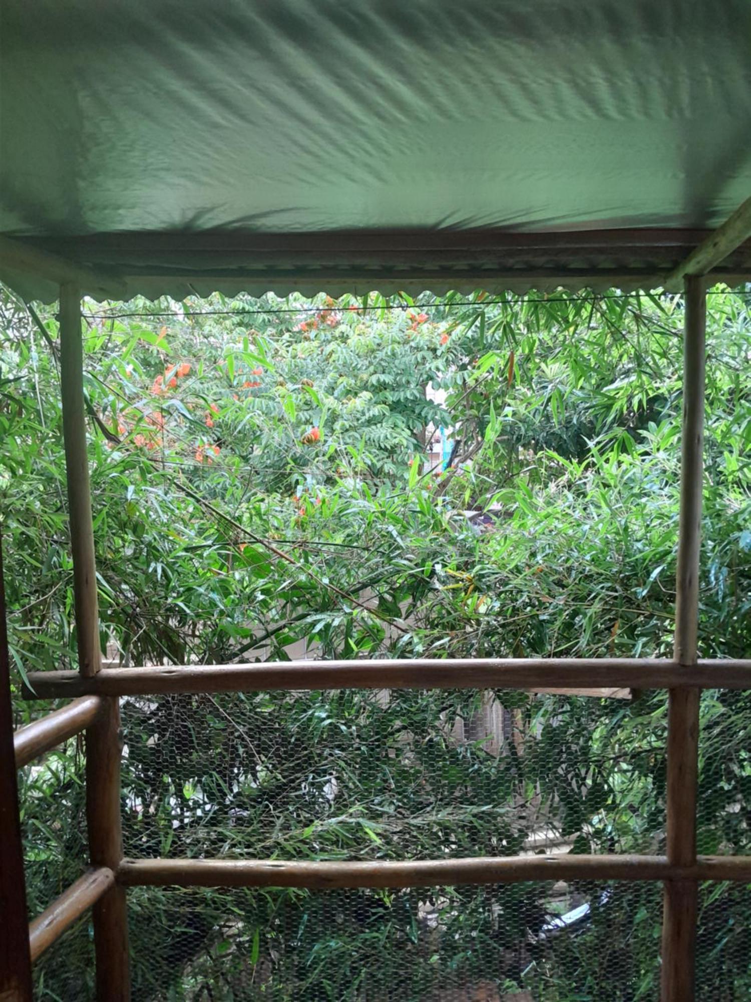 Apartamento Chale Bambu Cunha Exterior foto